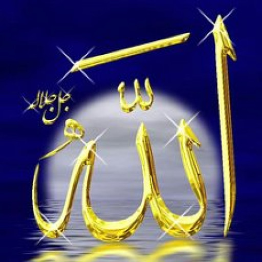 Profile picture of user Dolimjonov Muhammadziyo